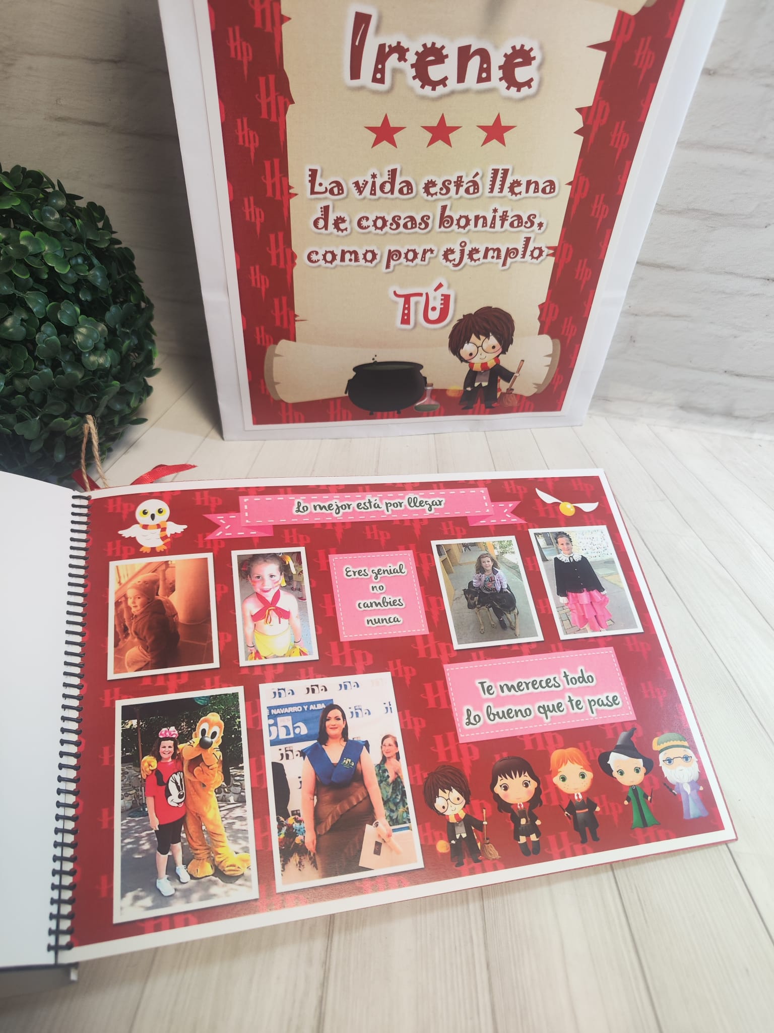Libro de chuches modelo Harry Potter - Imagen 15