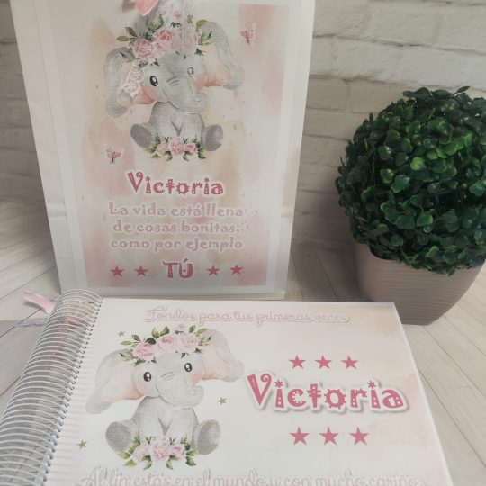 Libro para regalar dinero en nacimiento Modelo elefante rosa