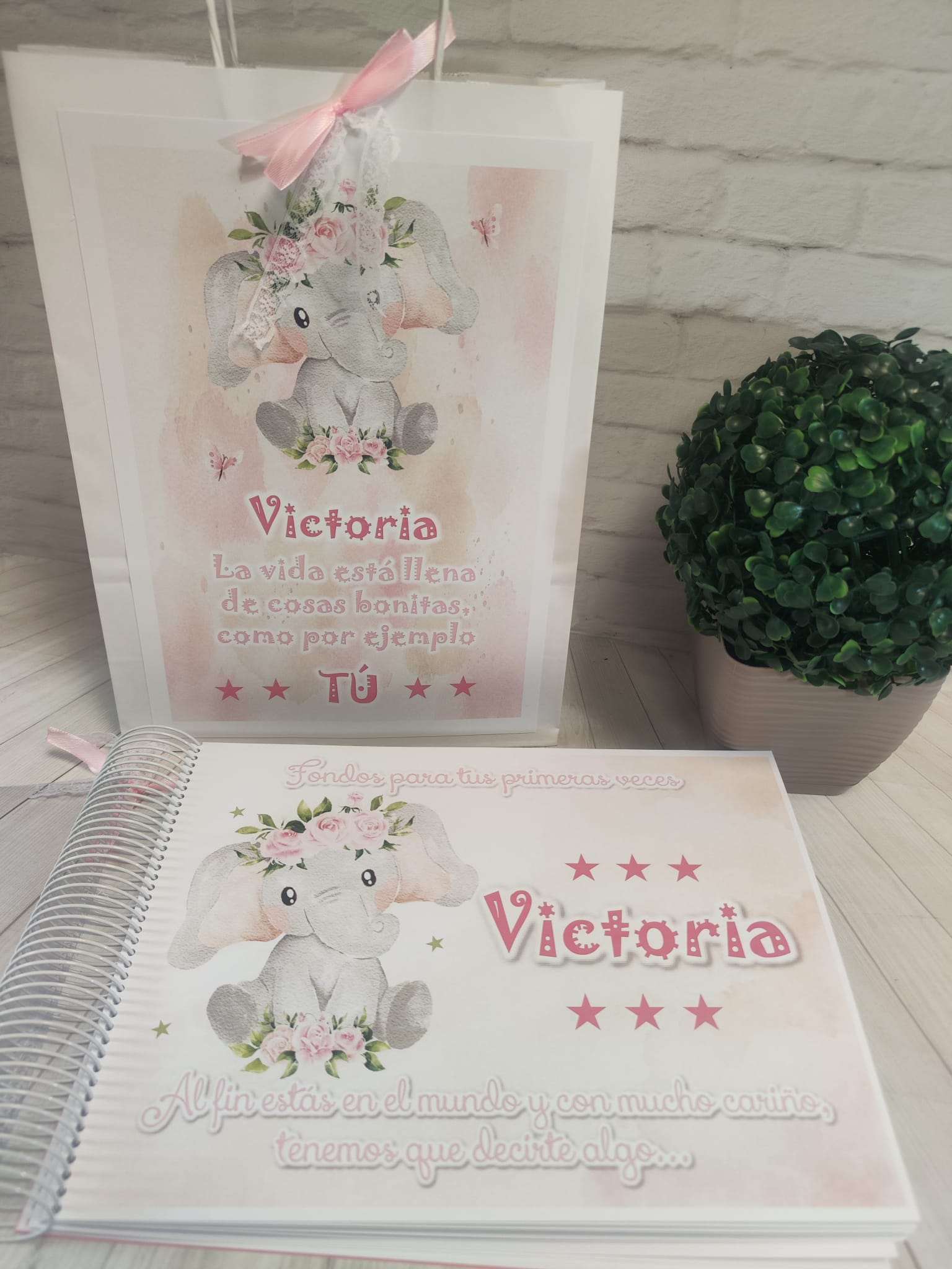 Libro para regalar dinero en nacimiento Modelo elefante rosa