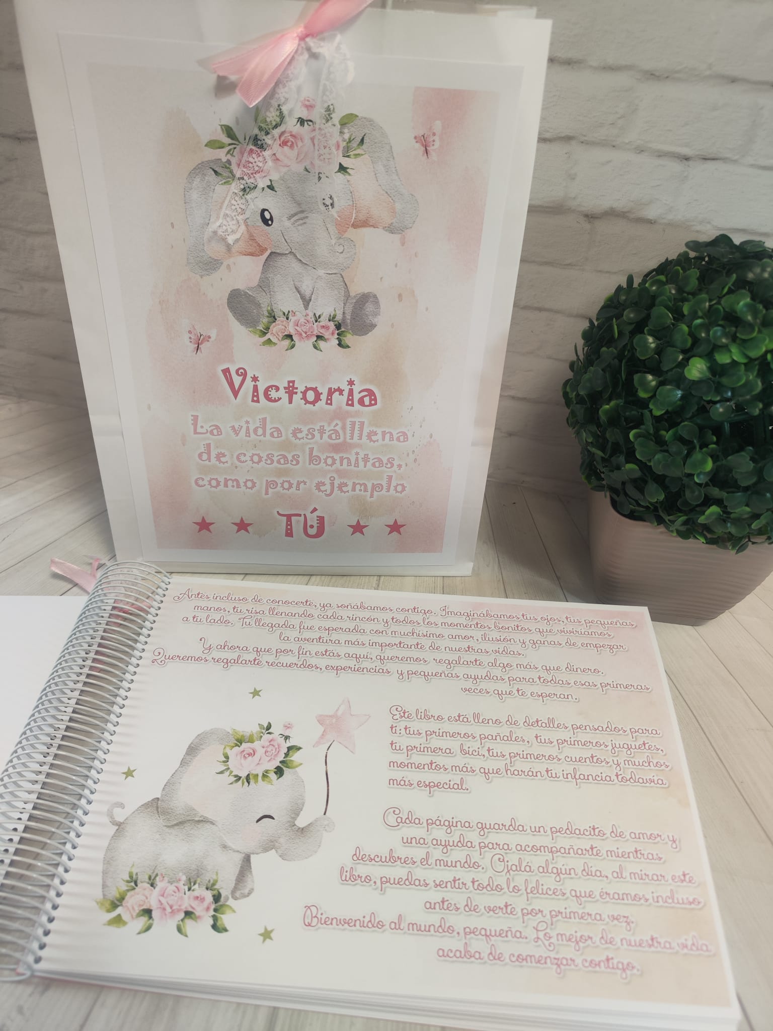 Libro para regalar dinero en nacimiento Modelo elefante rosa - Imagen 3
