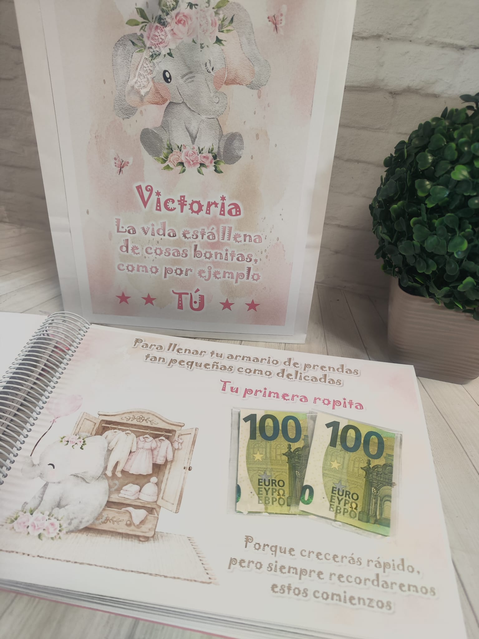 Libro para regalar dinero en nacimiento Modelo elefante rosa - Imagen 6